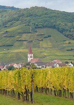 Le Rhénan Best Western Plus · Hôtel Route des Vins · Alsace