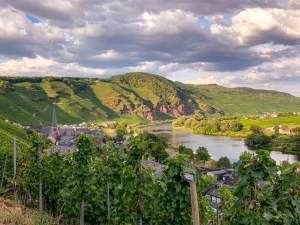 Hotel on the Alsace Wine Route · Best Western Plus Hôtel Le Rhénan