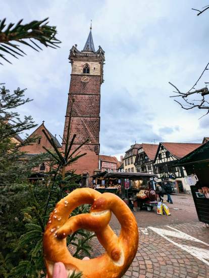 Hôtel Route des Vins, Alsace · Best Western Plus Hôtel Le Rhénan
